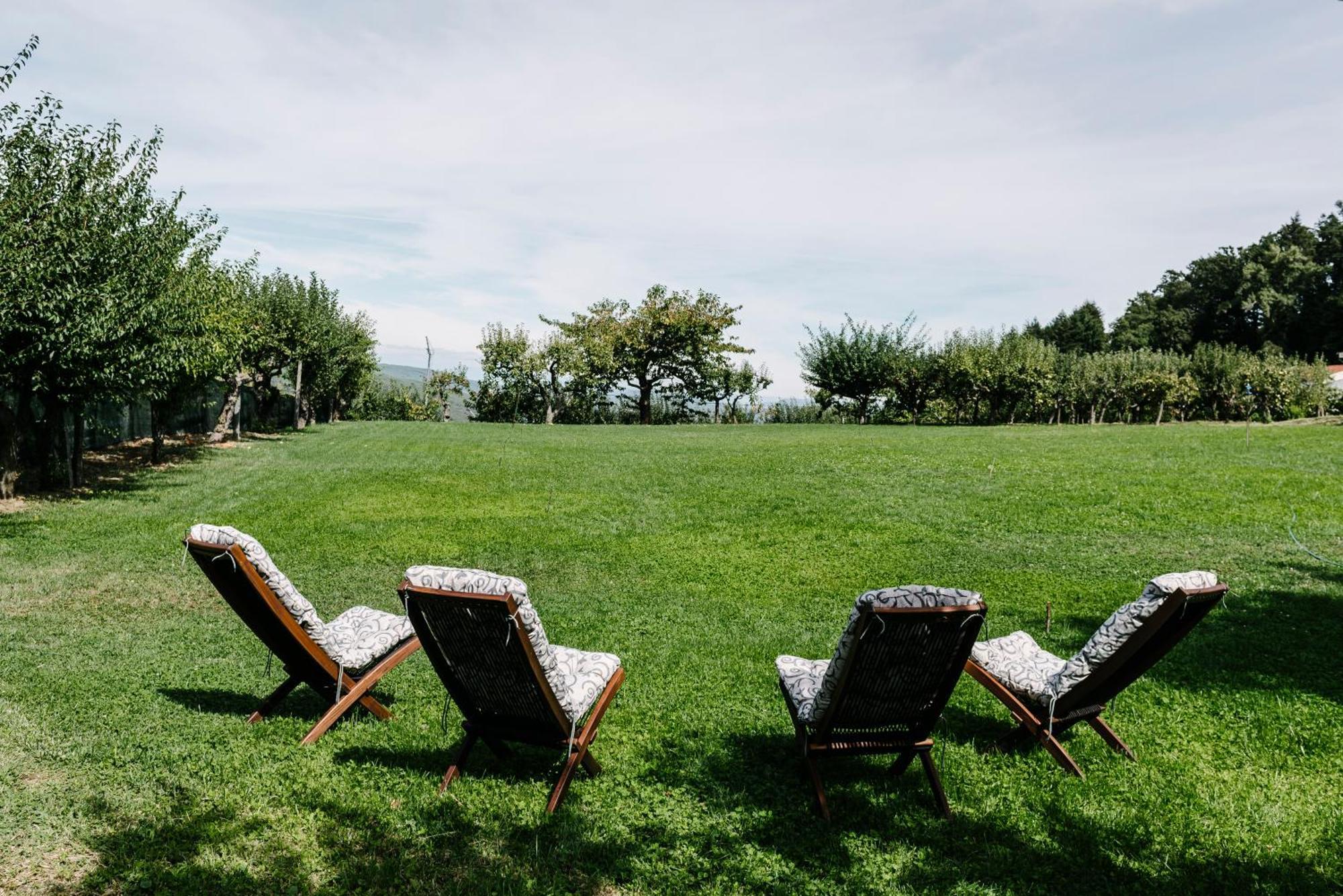Casa Da Tapa 7 Villa Vila Pouca de Aguiar Dış mekan fotoğraf